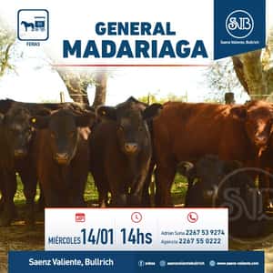 Feria en Gral. Madariaga