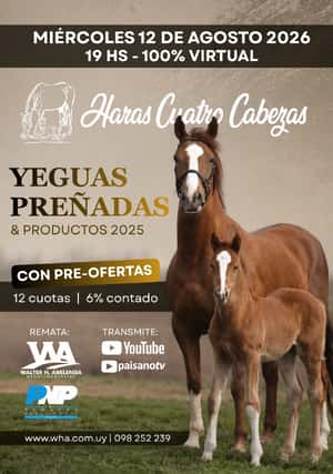 Haras Cuatro Cabezas