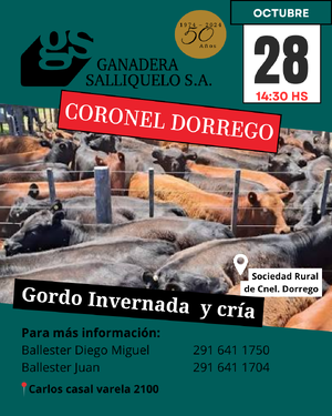 REMATE EN CORONEL DORREGO