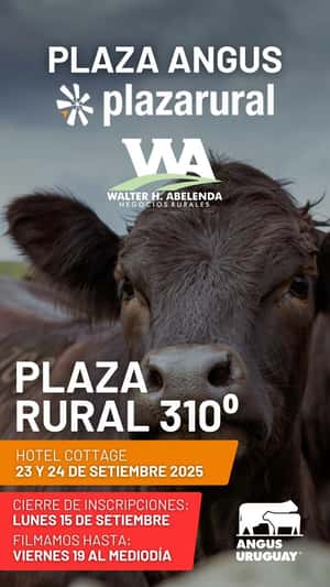 310º remate Plaza Rural
