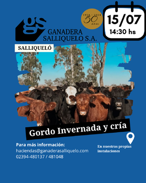 REMATE FERIA EN SALLIQUELÓ