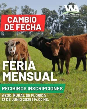 Feria mensual - WHA