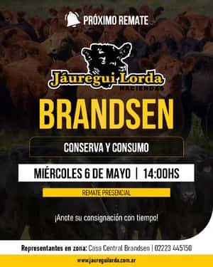 06 de Mayo - Brandsen