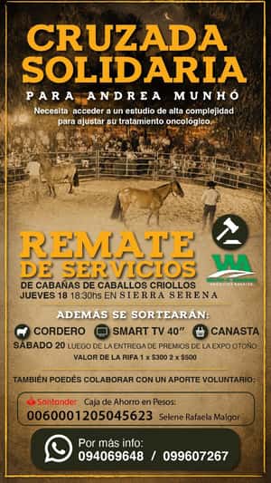 Servicios Criollos - Cruzada Solidaria
