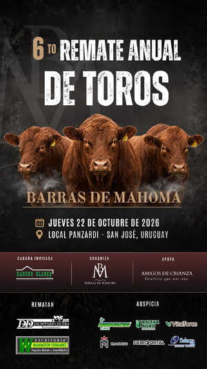 6º Barras de Mahoma