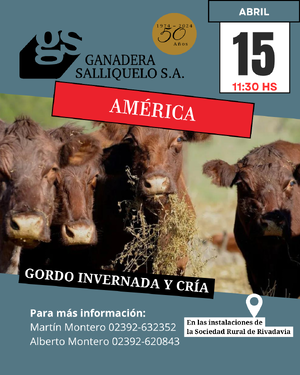 Remate Gordo, Invernada y Cría en América