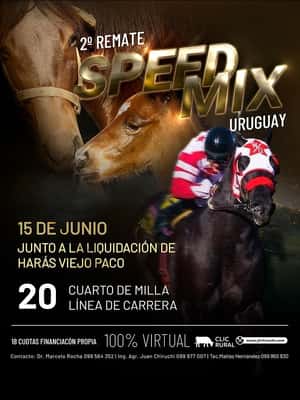 2° REMATE SPEED MIX