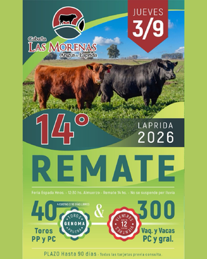 REMATE EN LAPRIDA – CABAÑA LAS MORENAS
