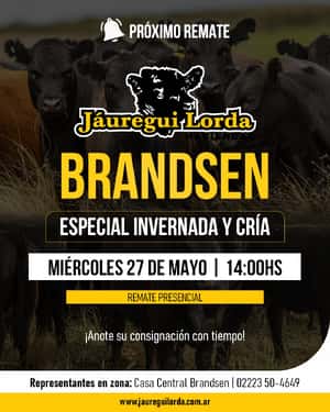 27 de Mayo - Brandsen