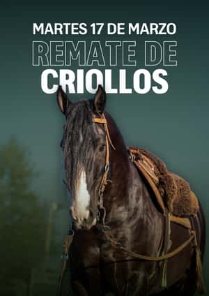 Remate de Criollos