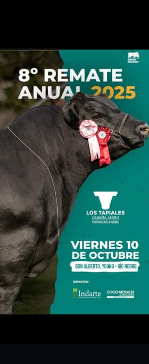 Imagen LOS TAPIALES