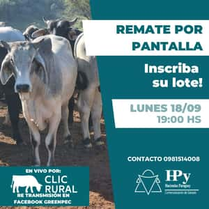 Remate por pantalla - Haciendas Paraguay