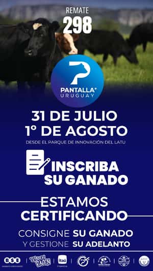 298º remate Pantalla Uruguay