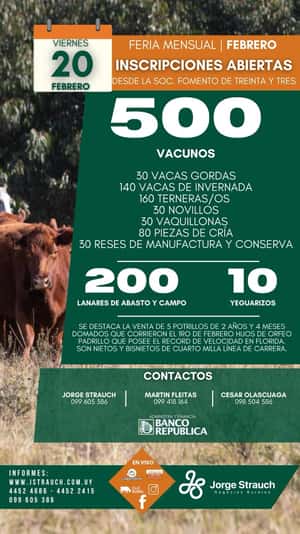 Feria Mensual - Jorge Strauch