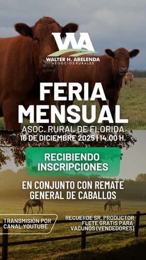 Feria Mensual Asoc. Rural de Florida