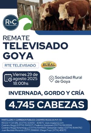 REMATE TELEVISADO / GOYA