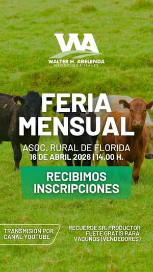 Feria Mensual