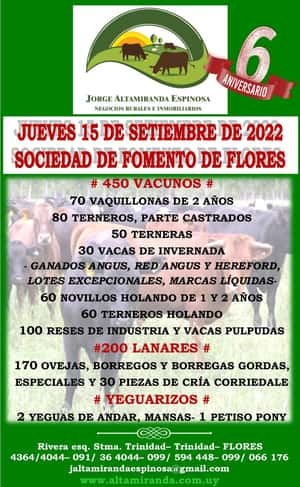 FERIA GENERAL