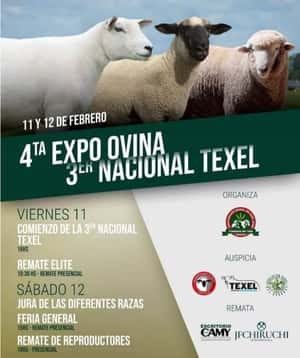 11 de Febrero - Rural de San José