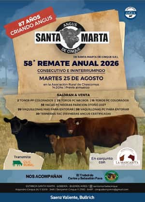 Santa Marta de Cinque