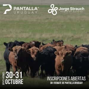 301º remate Pantalla Uruguay
