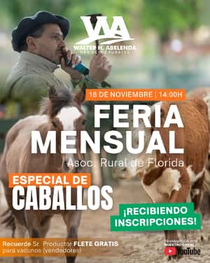Feria Mensual + Especial de Caballos
