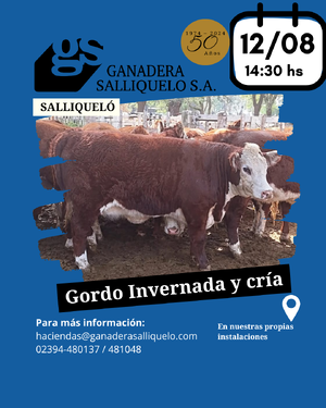 REMATE FERIA EN SALLIQUELÓ