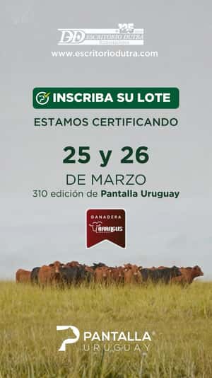 310º remate Pantalla Uruguay