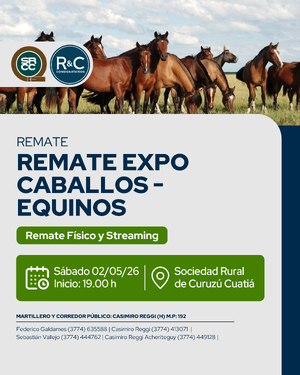 Remate expo caballos