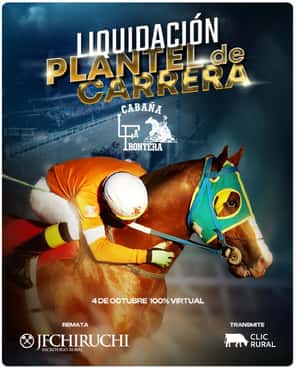 Liquidación Plantel de Carrera