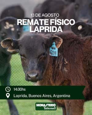 Remate Físico Laprida