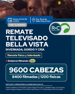 Remate televisado Bella Vista