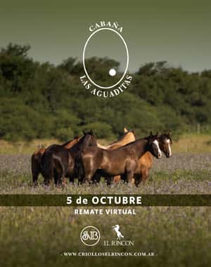Las Aguaditas 