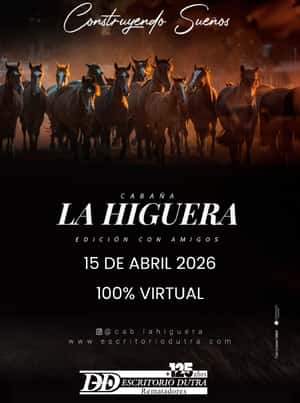 15 de Abril - Virtual