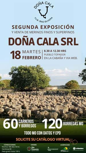 Doña Cala