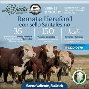 Hereford con sello Santafesino