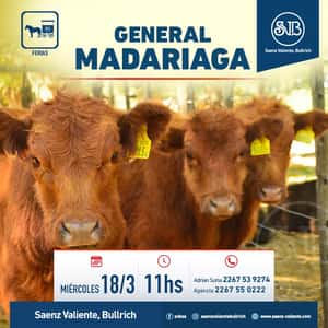 Feria en Gral. Madariaga