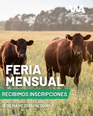 Feria Mensual - Walter H Abelenda