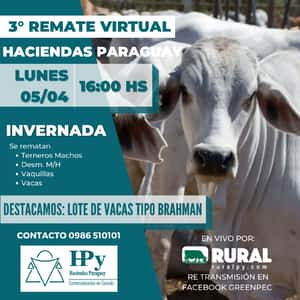 3° Remate Virtual