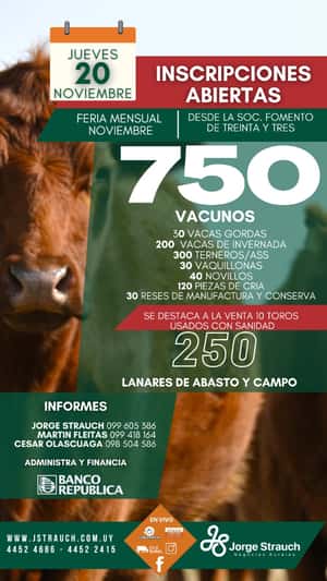 Feria Mensual - Jorge Strauch