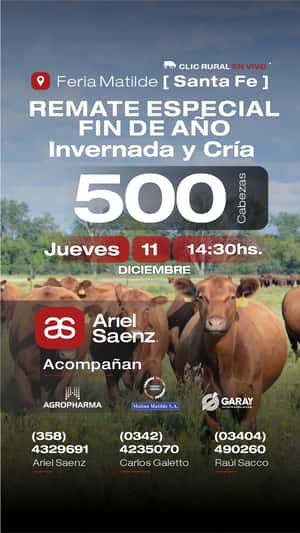 11 de Diciembre - Matilde