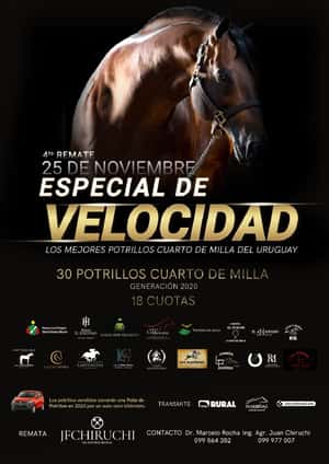 4to ESPECIAL DE VELOCIDAD