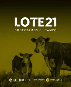247º remate Lote21