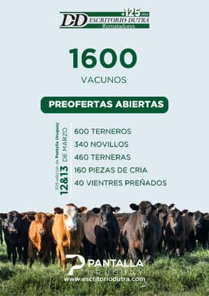 309º remate Pantalla Uruguay