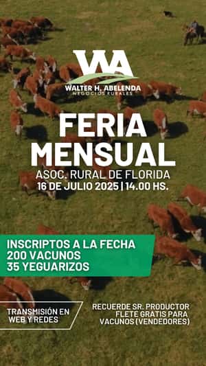 Feria Mensual