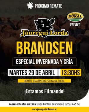 29 de Abril - Brandsen