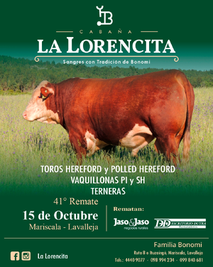 41º La Lorencita