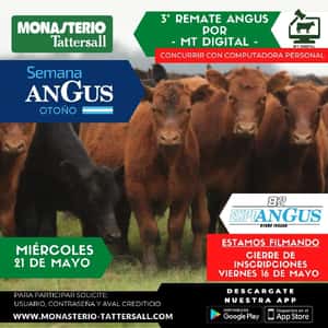 MT Digital Angus Expo otoño desde "La Rural"