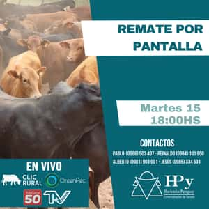 Remate por Pantalla