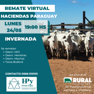 Remate Virtual HPY